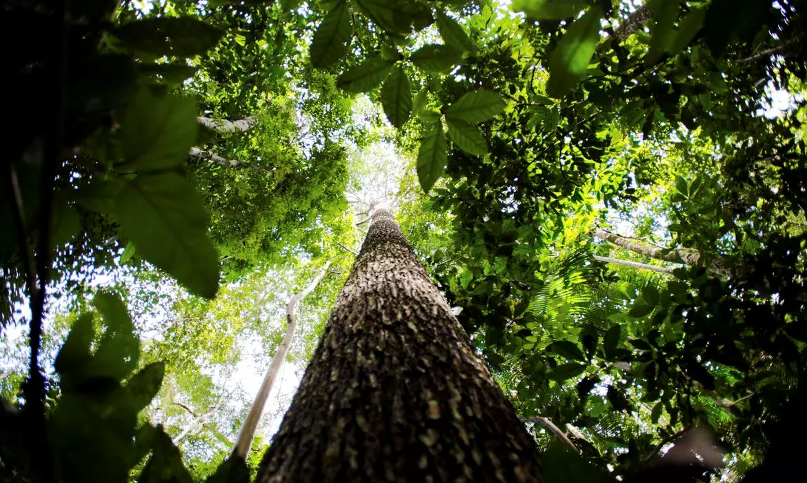 Lula disse que já não acredita na promessa dos países ricos de compensar financeiramente os países que conservam suas florestas, como forma de amenizar os efeitos negativos que vêm sendo percebidos por conta das mudanças climáticas